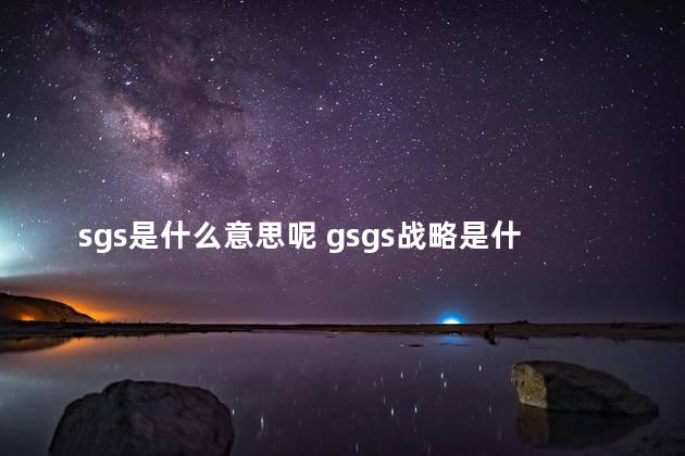 sgs是什么意思呢 gsgs战略是什么意思